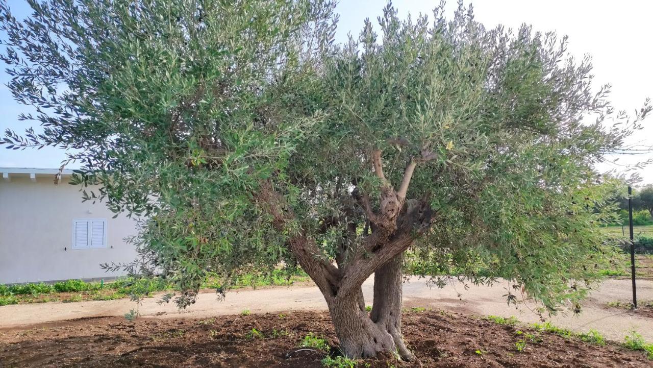 Le Zagare Di Vendicari Villa Lido di Noto Dış mekan fotoğraf